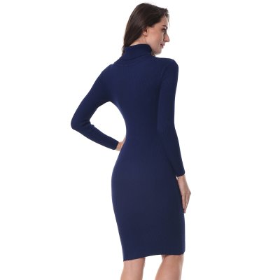 Elastic Turtleneck Long Sleeve Bodycon Slim Midi Knitted Dress (Fits All)