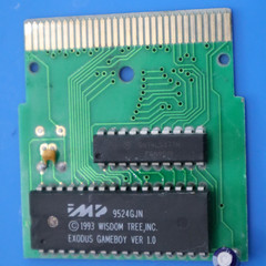 Wisdom_Tree_Exodus_Journey_to_the_Promised_Land_Gameboy_10.jpg