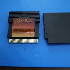 Wisdom_Tree_Joshua_and_the_Battle_of_Jericho_13.jpg