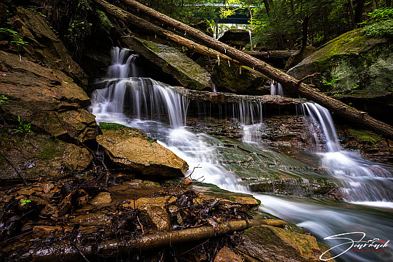 McConnell's Mill