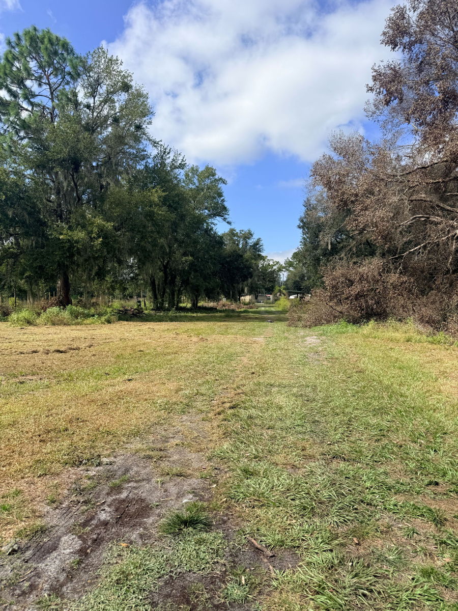 🌳 2.25 ACRES — LAND VALUE DEAL | ZEPHYRHILLS, FL 🌳