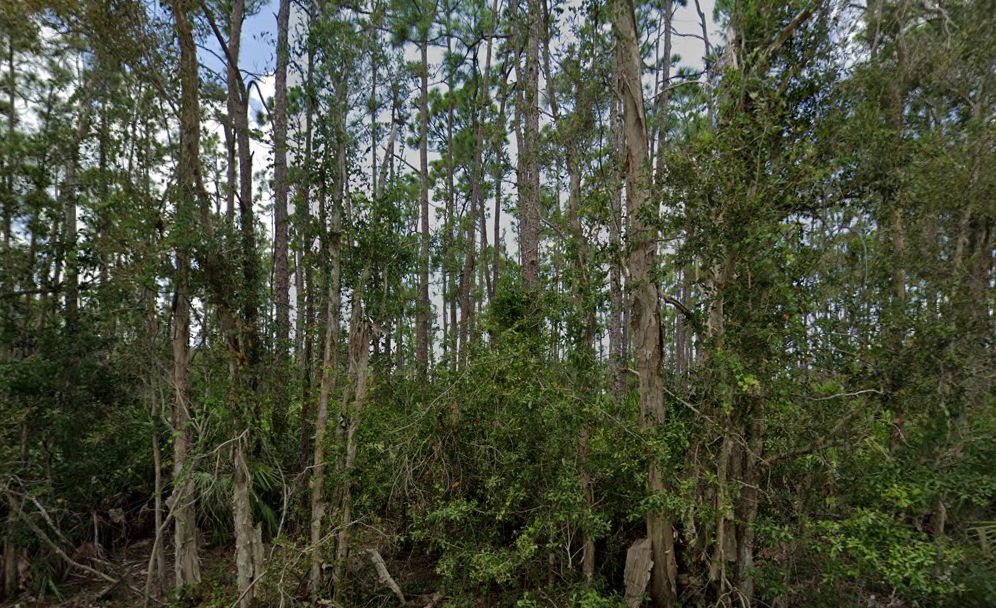 🔥 Buildable Lot in Growing Punta Gorda – Investor/Builder Opportunity 🔥