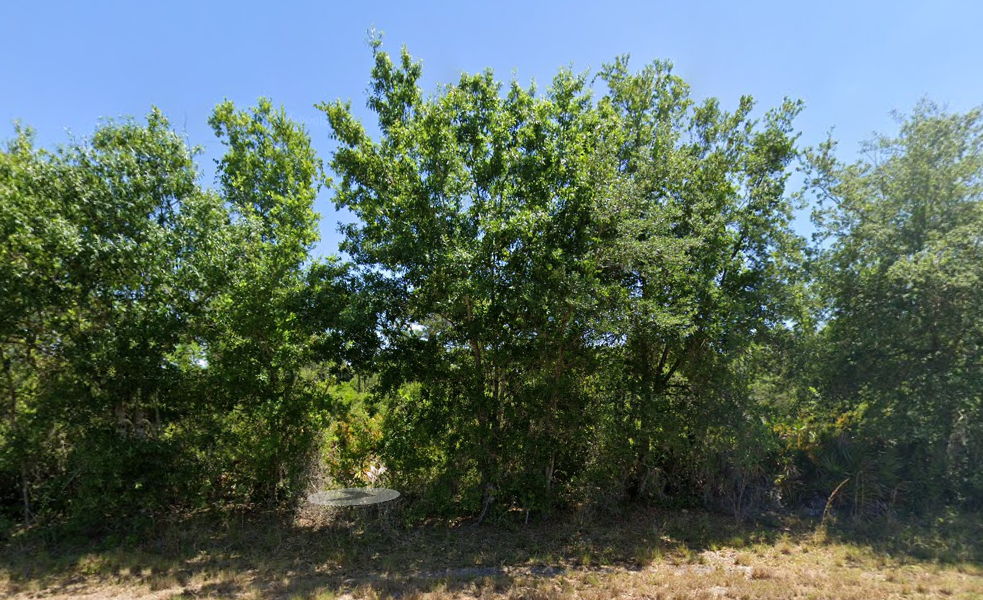 🔥 Buildable Lot in Lake Placid – High & Dry | No Flood Zone 🔥