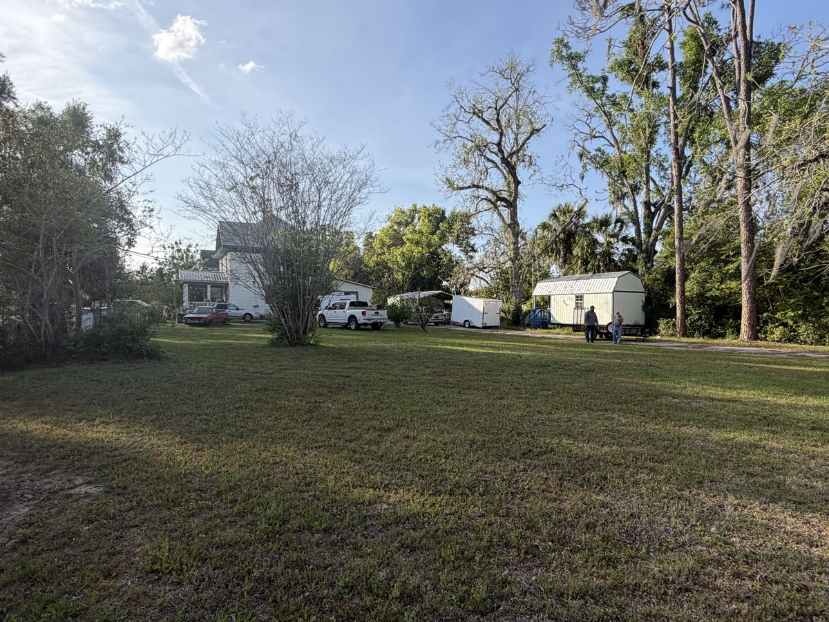 Live Oak