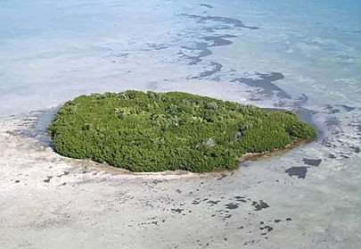 Land — Big Pine Key, FL