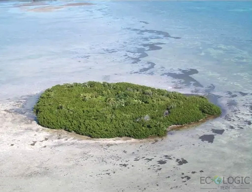 Big Pine Key