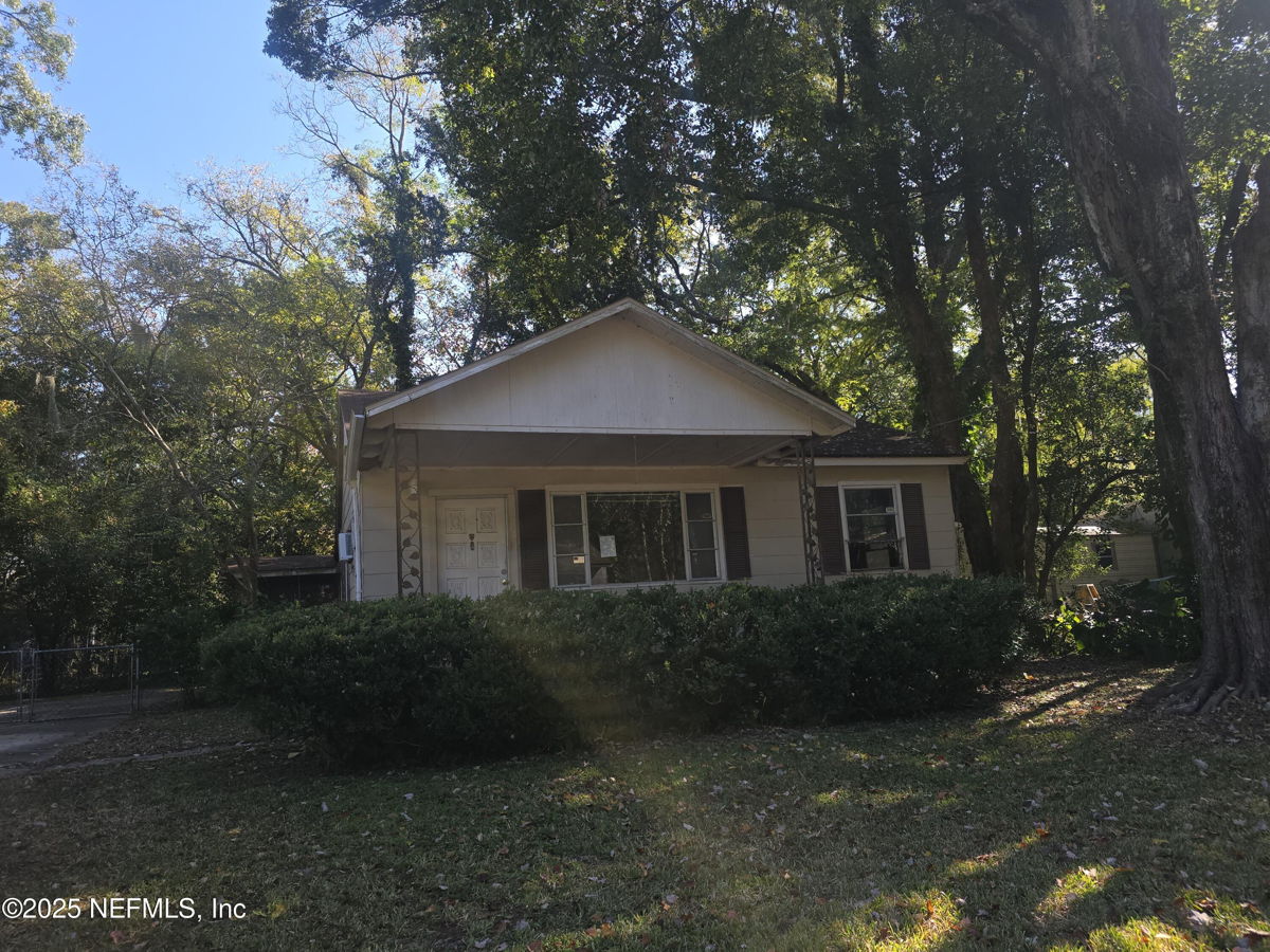 Your next investment opportunity!
