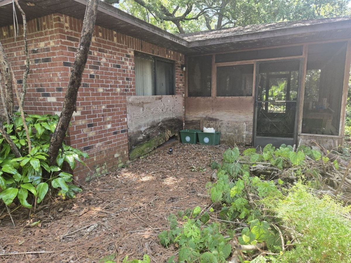 Cocoa Investment Opportunity 32927