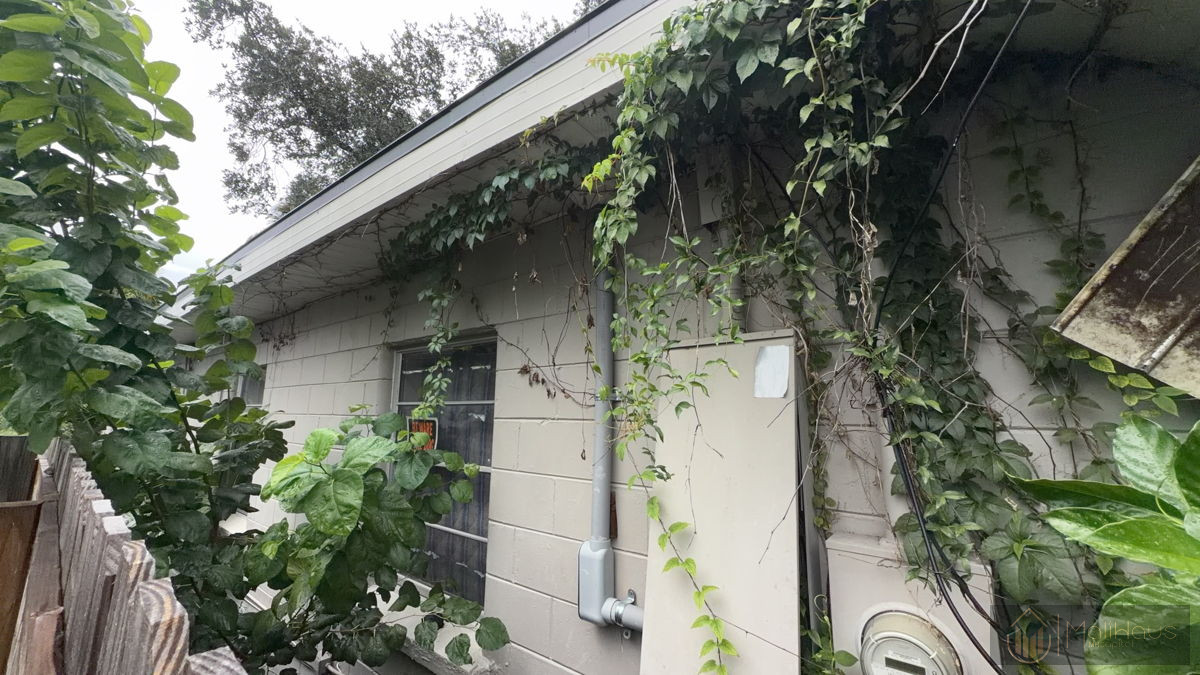 4BR Home in Tampa , FL photo 5