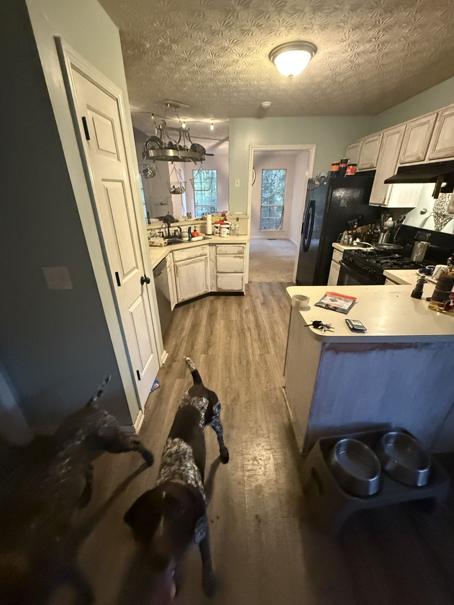 4BR Home in Loganville , GA photo 2