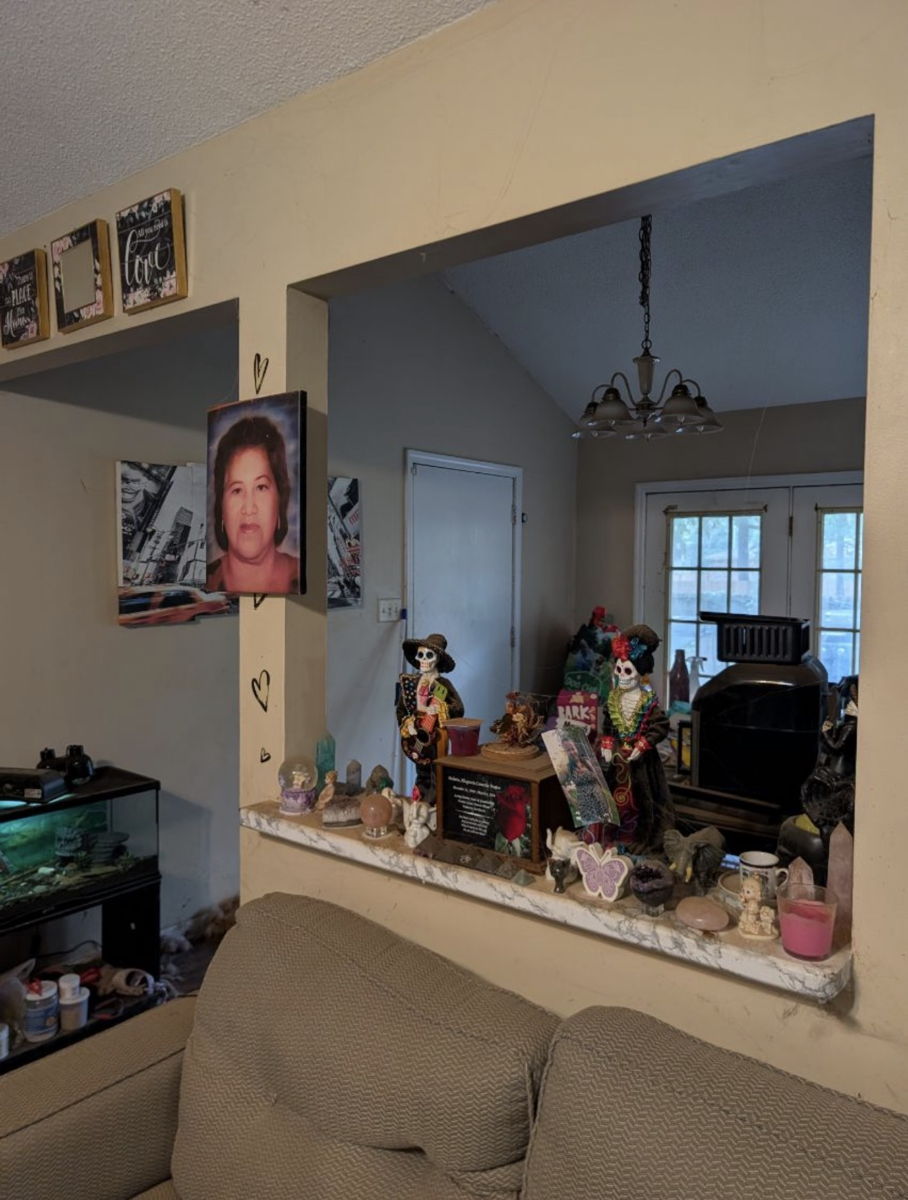 3BR/2BA Home in Savannah, GA photo 6