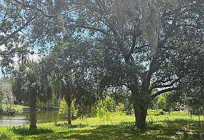 Land — Windermere, FL