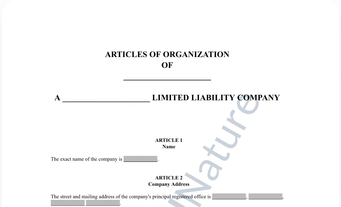 Articles of Organization document preview