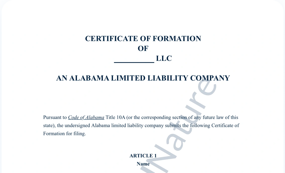 Certificate of Formation for LLC document preview