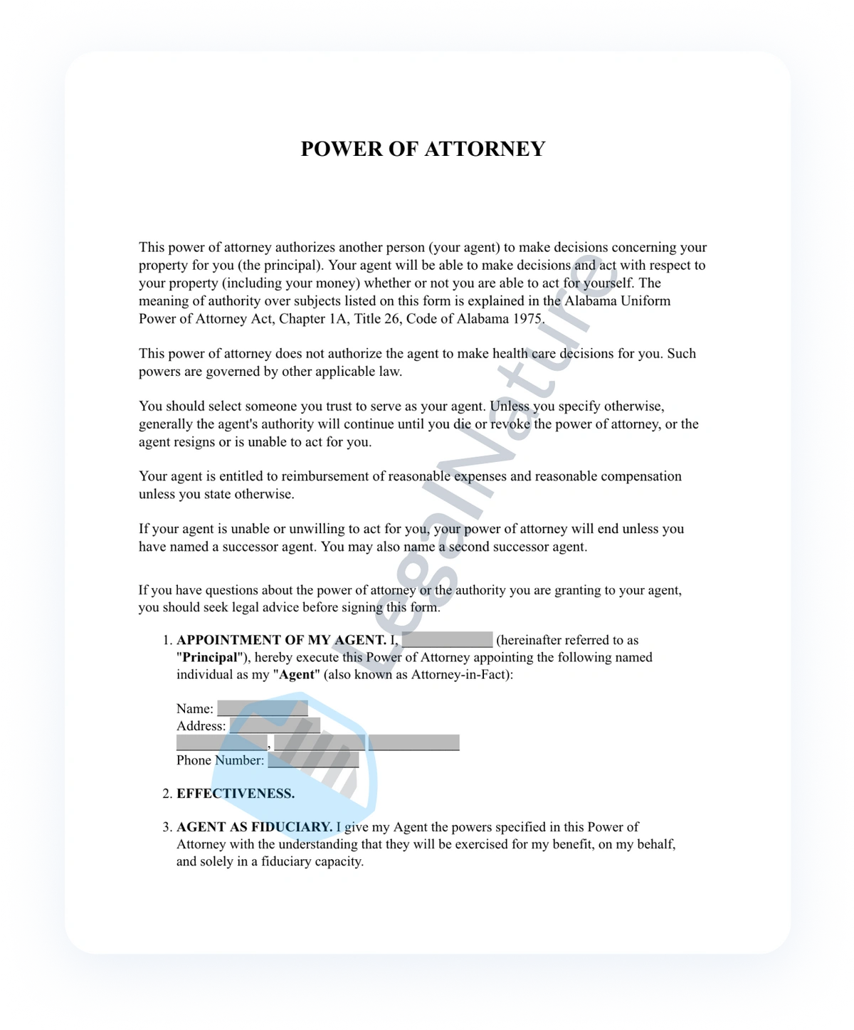 Durable Power of Attorney document preview