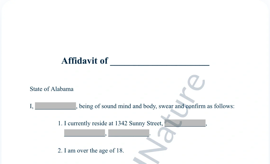 General Affidavit document preview
