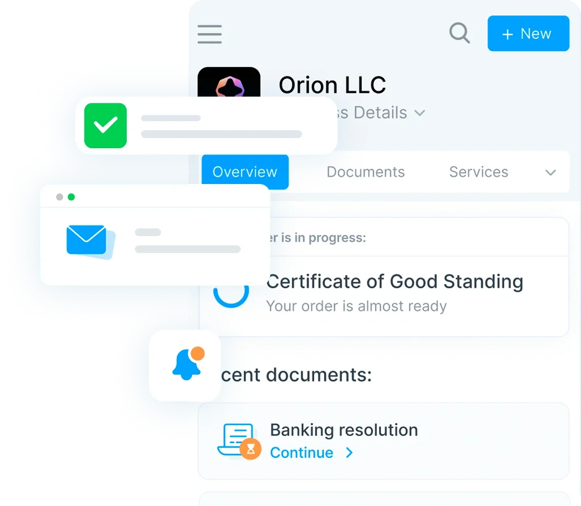 llc owner
