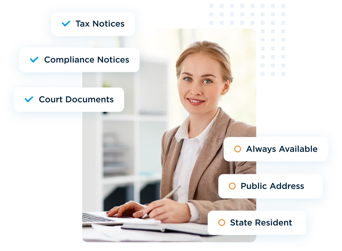 llc owner