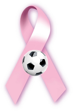 breast cancer soccer - St. Henry District High School