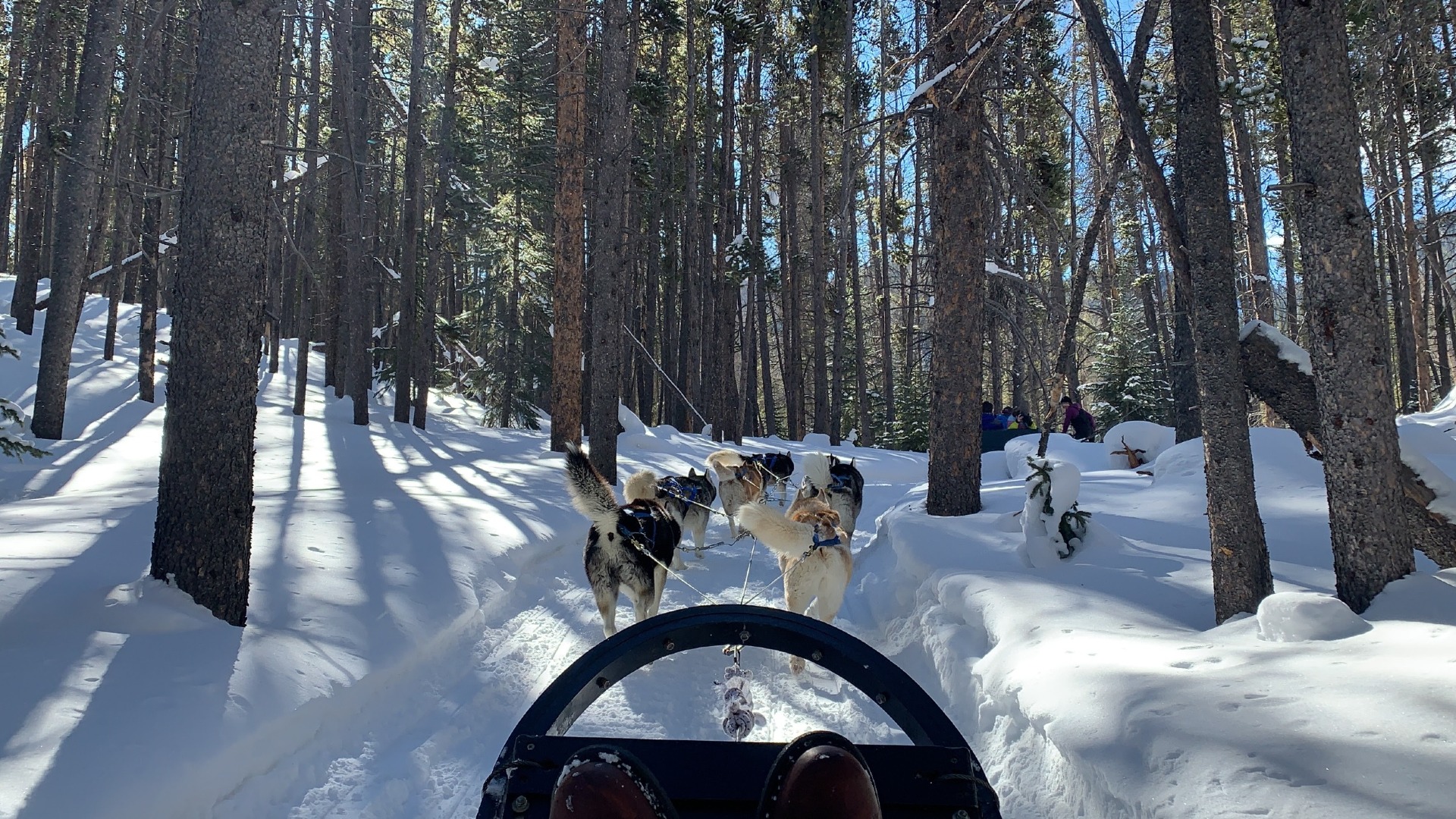 Alpine Club Ski Bus 2020