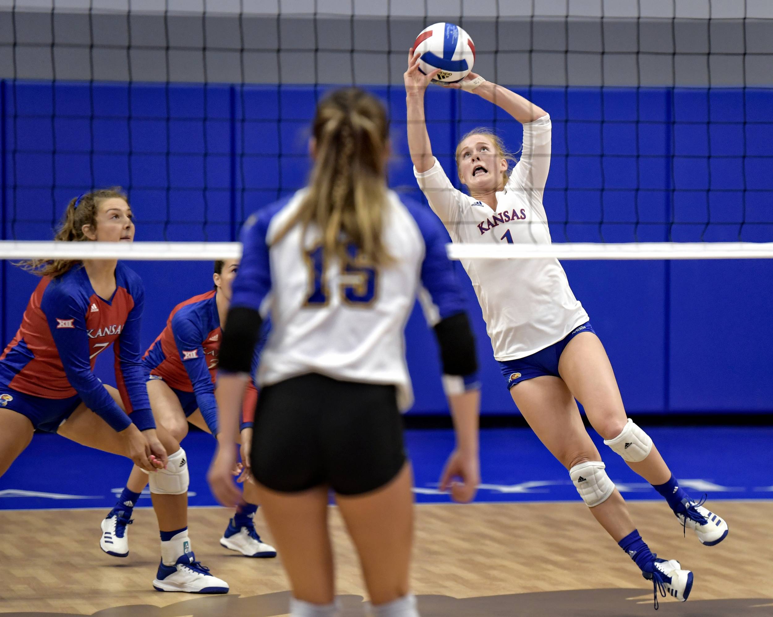 Nelson_Allie_Upright_Dig_09122019