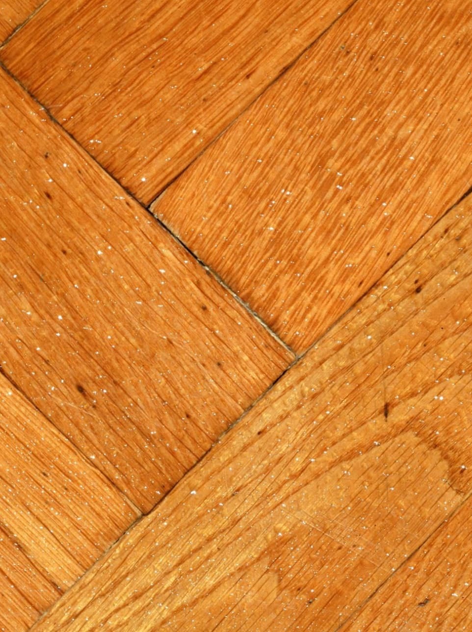 Damaged Hardwood Floors