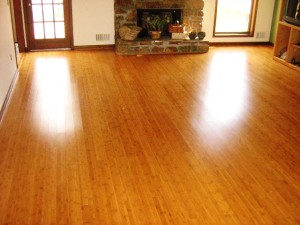 Bamboo Floor in Cozy Living Room