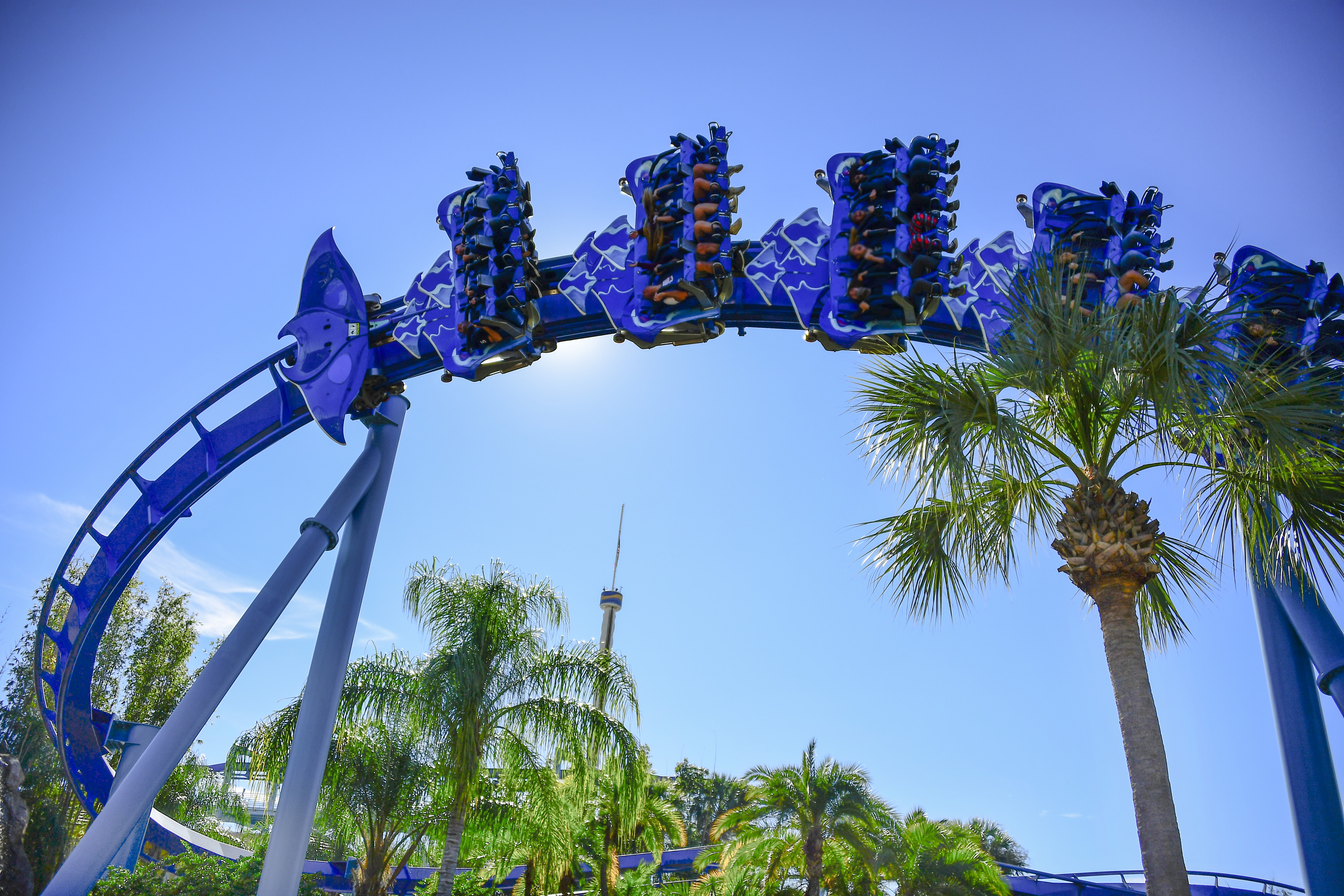Orlando theme park roller coaster