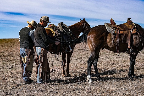 2025 Selah Cattle DRIVE
