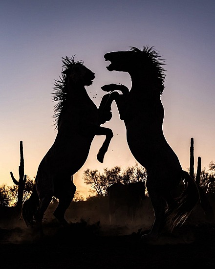 "Fighting in the Dark" 