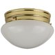 Sunlite 04485-SU 60 W Sunlite 04485-SU 60 W