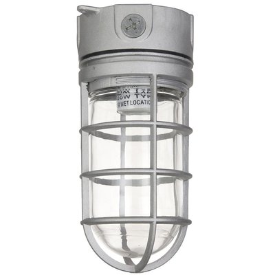 Sunlite 04900-SU 100 W