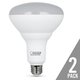Feit Electric BR40DM/10KLED/2 12.5 W Feit Electric BR40DM/10KLED/2 12.5 W