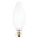 Westinghouse 0402808 60 W Westinghouse 0402808 60 W