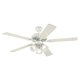 Westinghouse 7862765 60 W Westinghouse 7862765 60 W