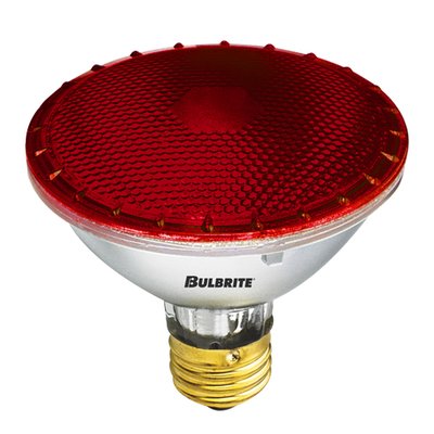 Bulbrite 860746 (683757) 75 W