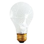 Bulbrite 860874 100 W Bulbrite 860874 100 W