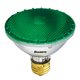 Bulbrite 860744 75 W Bulbrite 860744 75 W