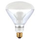 Westinghouse 0396108 65 W Westinghouse 0396108 65 W