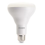 Bulbrite 861642 (772823) 13 W