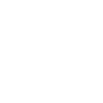 Dynamic reports