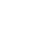 User roles & permissions