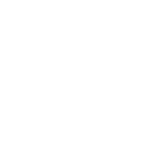 Digital Signatures
