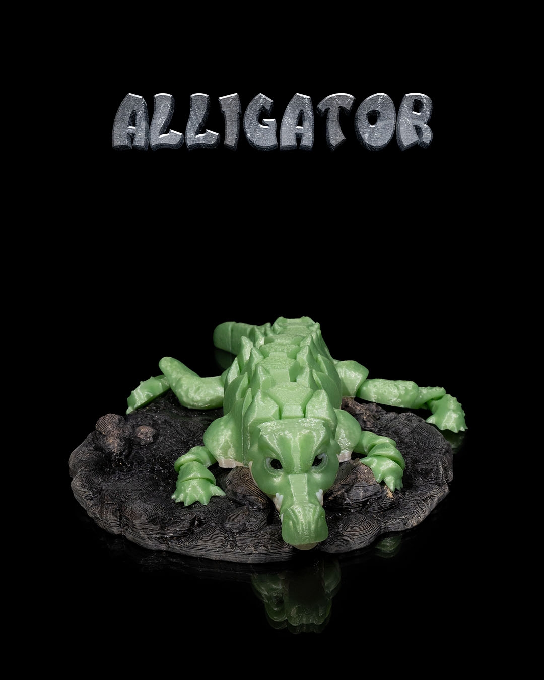 Alligator