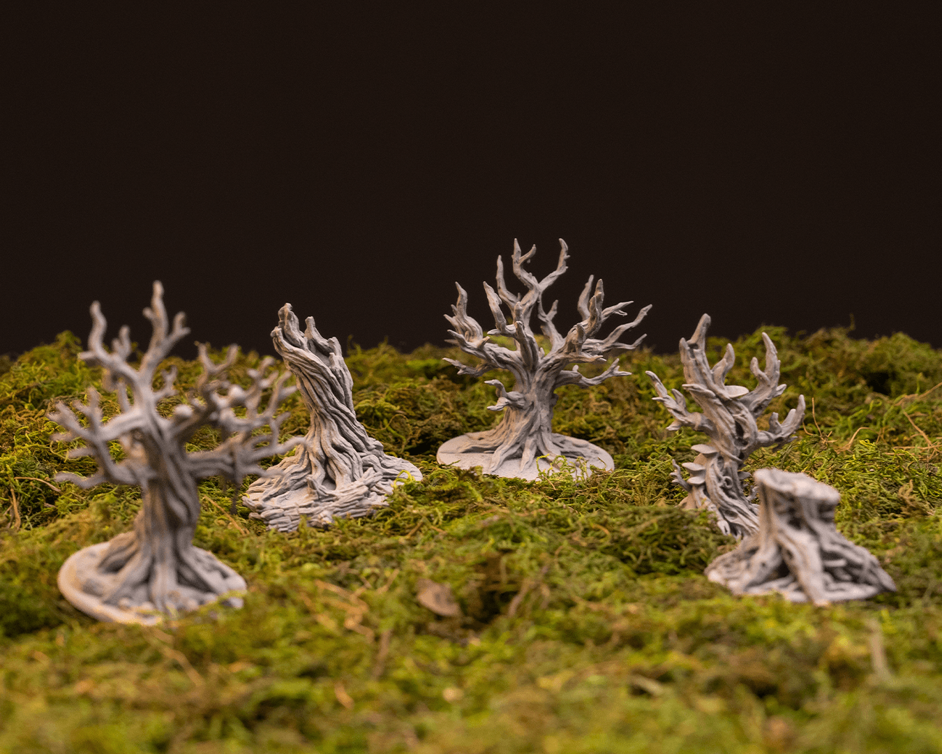 Ancient Trees