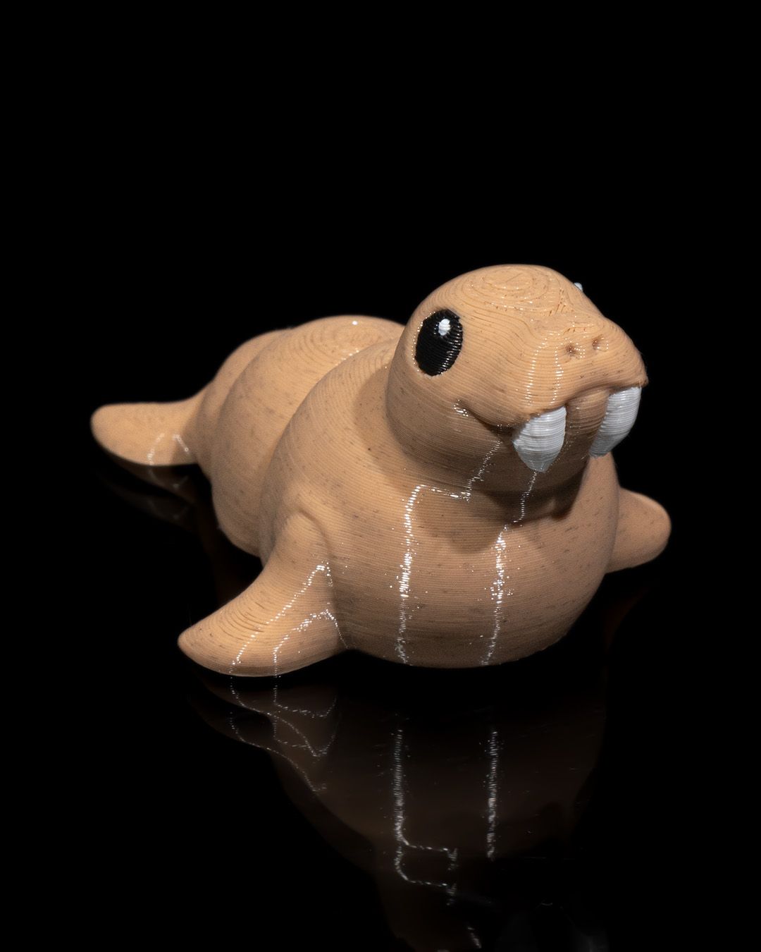 Atlantic Walrus