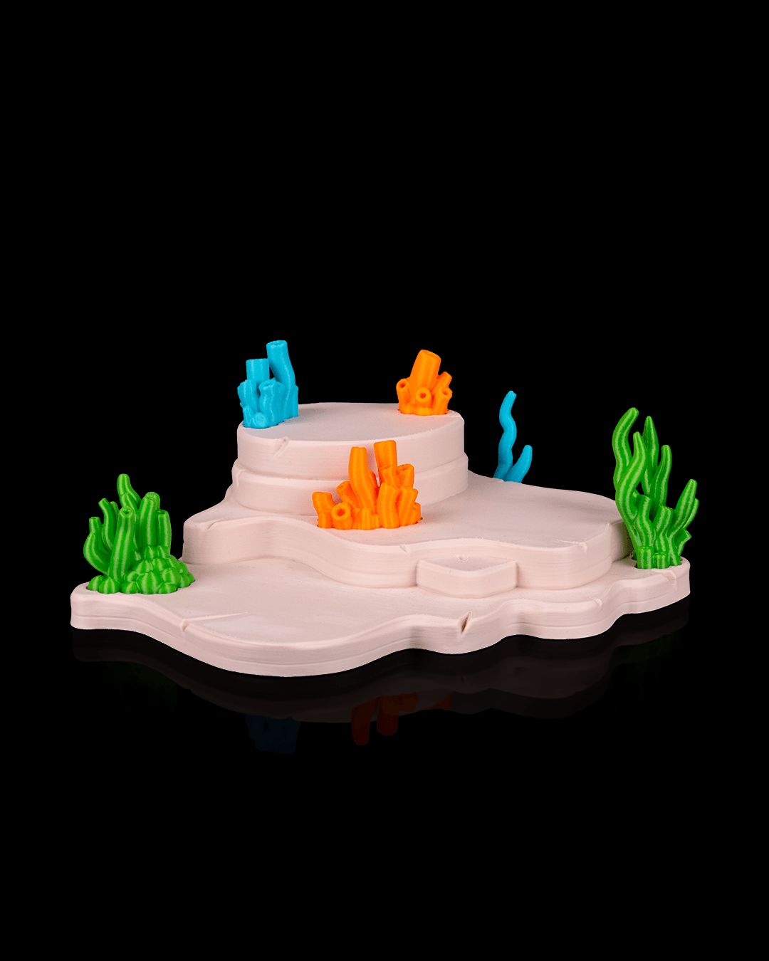 Axolotl Haven - Display