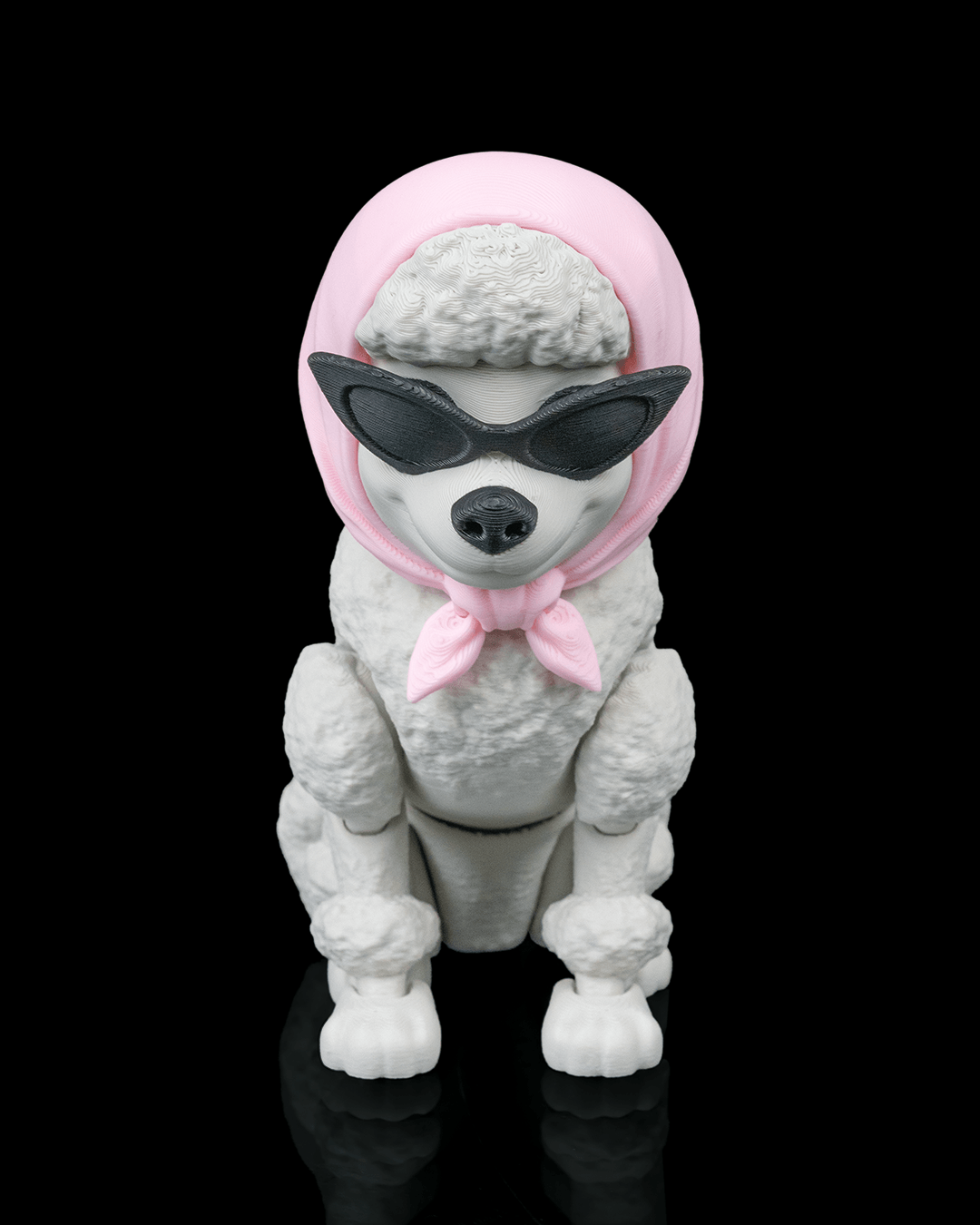 Barbara, the Poodle