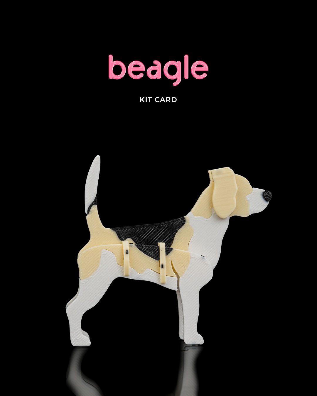 Beagle