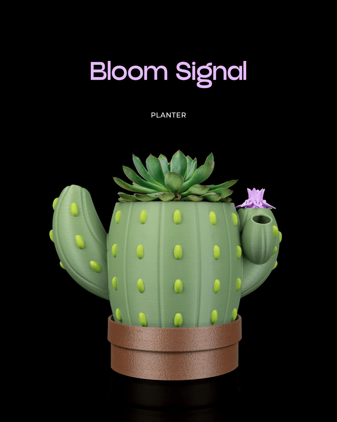 Bloom Signal - Planter